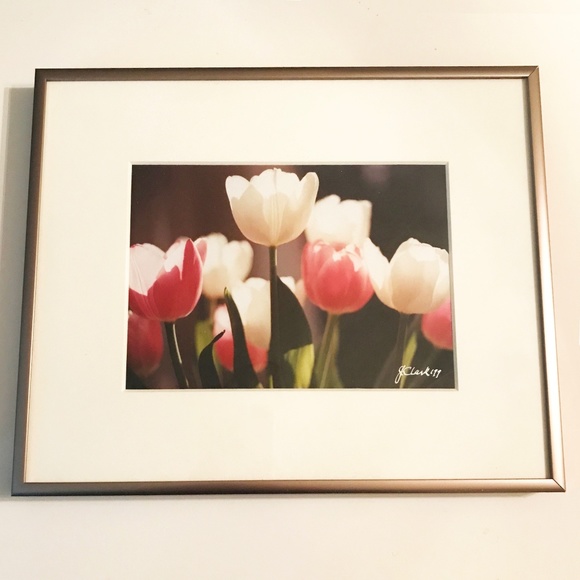 NATURE PHOTO "TULIPS" - Picture 1 of 1